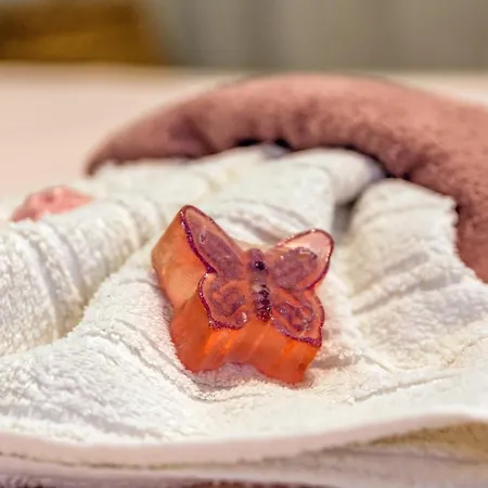 Chalkidiki Beachfront